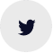 Twitter Icon